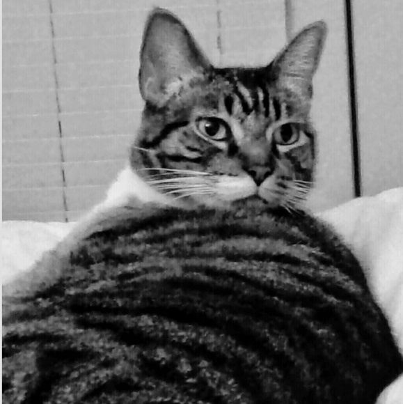 2nd Tim 1:7 Love, Power, Sound Mind - Picture 12 of 16